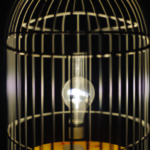 Lightbulb in a cage