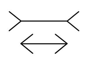 Muller-Lyer_Illusion